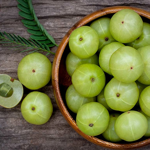 Amla fruit for supporting metabolism and providing vitamin C in SugarSenz drink daily in Tamil Nadu.