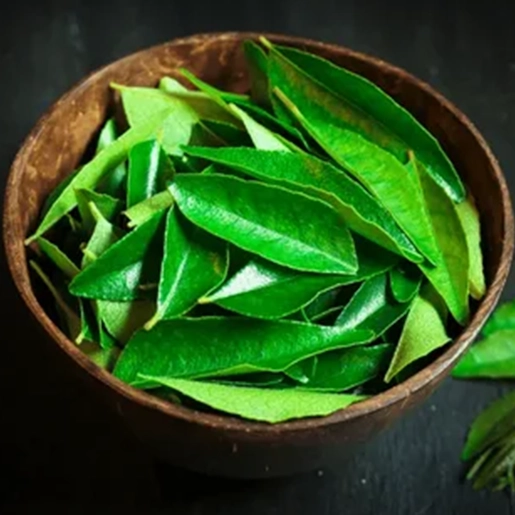 Curry leaves aid digestion help maintain stable blood sugar balance naturally in SugarSenz Tamil Nadu