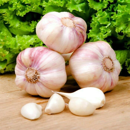 Garlic in Lup-Tup drink helps maintain healthy cholesterol, blood pressure, heart function naturally