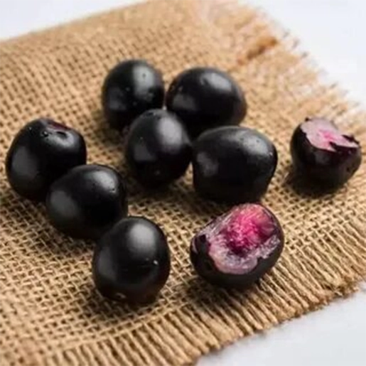 Jamun seeds for an antioxidant support and healthy digestion in the SugarSenz drink in Tamil Nadu.Ceylan Cinnamon For Insulin Sensitivity & Sugar Health, TN